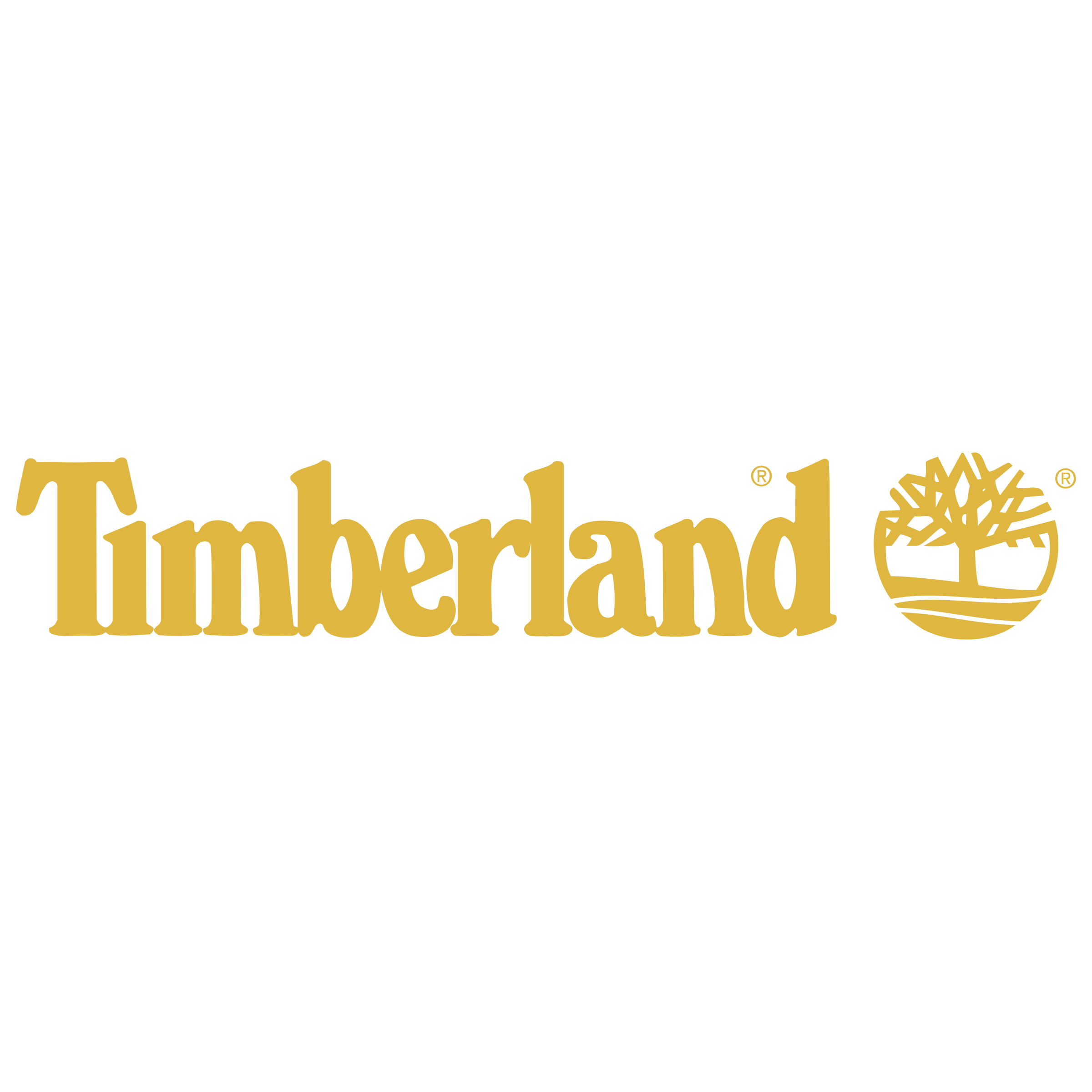 Timberland Brand